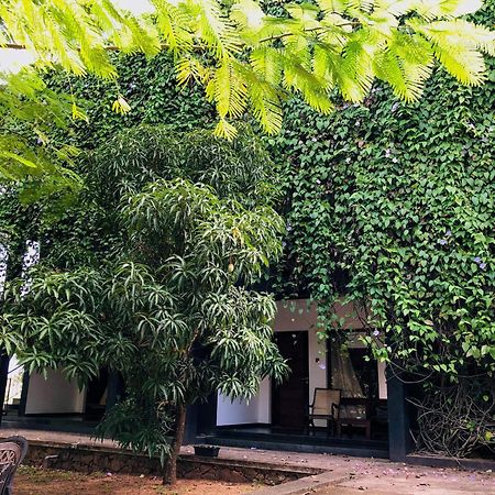 Dambulla Rock Arch Bed & Breakfast Ngoại thất bức ảnh