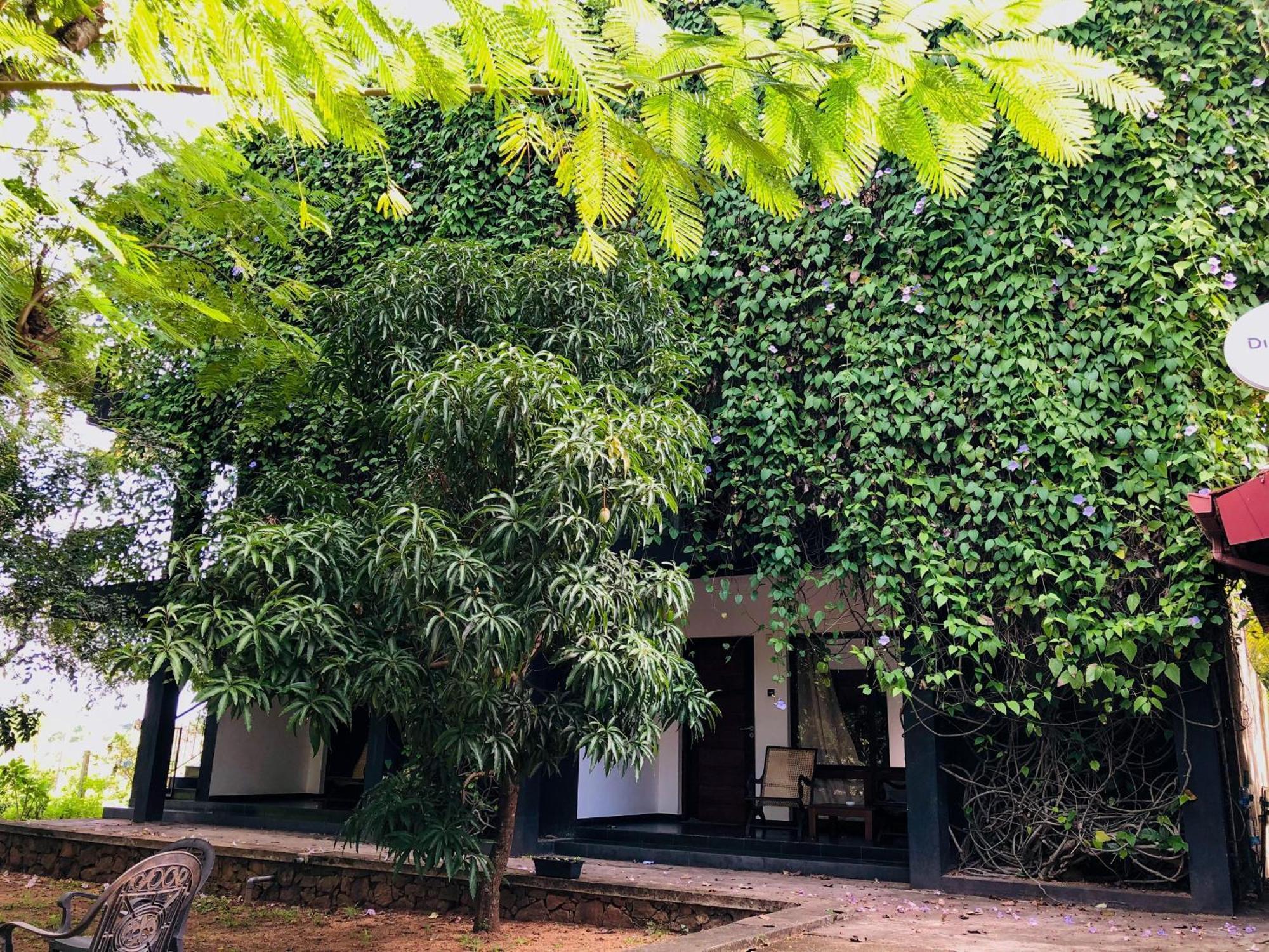 Dambulla Rock Arch Bed & Breakfast Ngoại thất bức ảnh