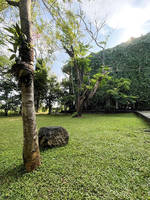 Dambulla Rock Arch Bed & Breakfast Ngoại thất bức ảnh